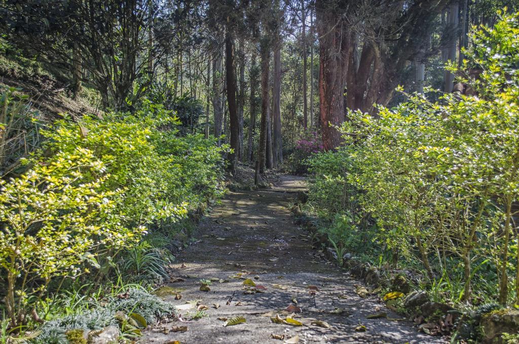 Pousada A Casa Da Fazenda Santo Antônio do Pinhal Dış mekan fotoğraf